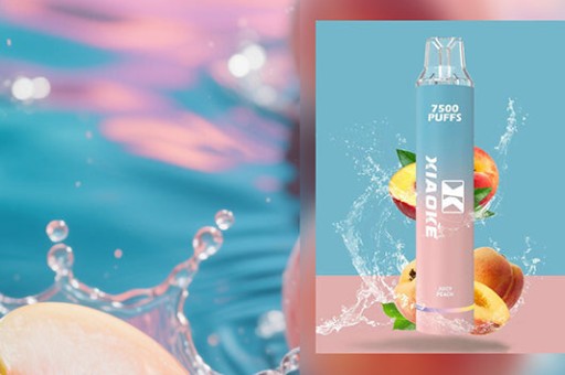 MEHA魅海煙彈適配哪種煙桿—MEHA魅海煙彈最佳煙桿推薦